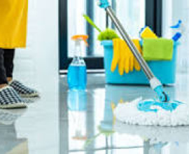 Mr.cleaners